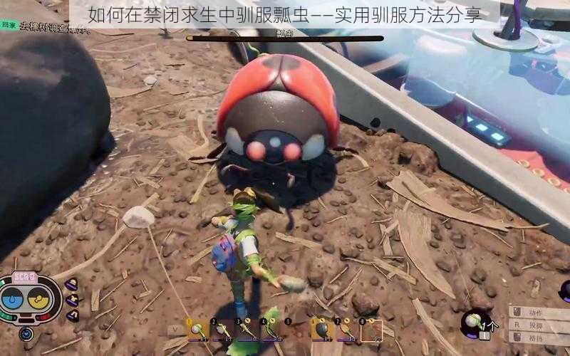 如何在禁闭求生中驯服瓢虫——实用驯服方法分享