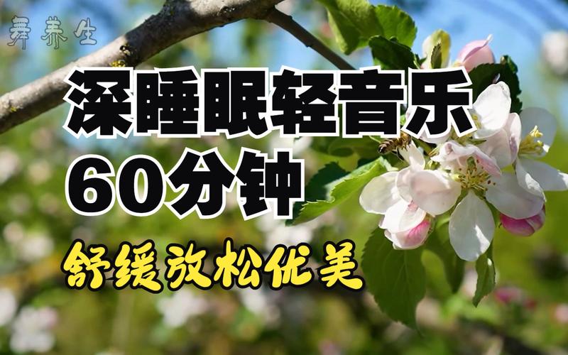 CHINESE 老太性视频 BBW 助眠好物,缓解压力,放松身心