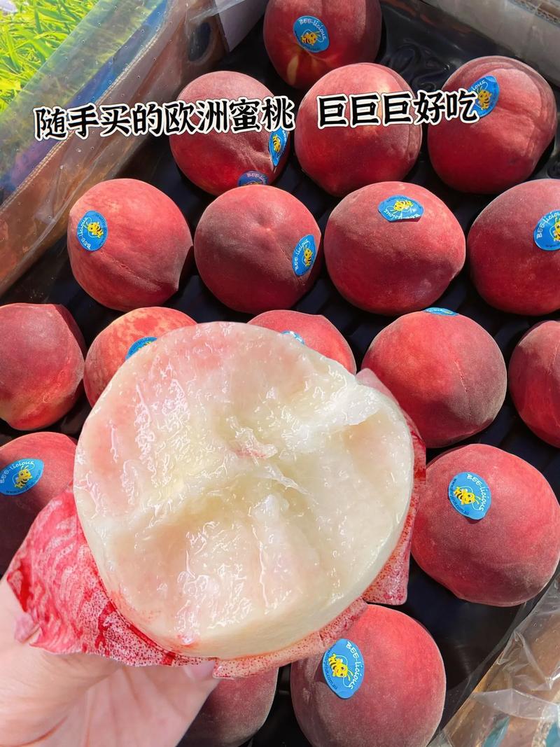 蜜桃网 123——专业的蜜桃,带来不一样的口感体验