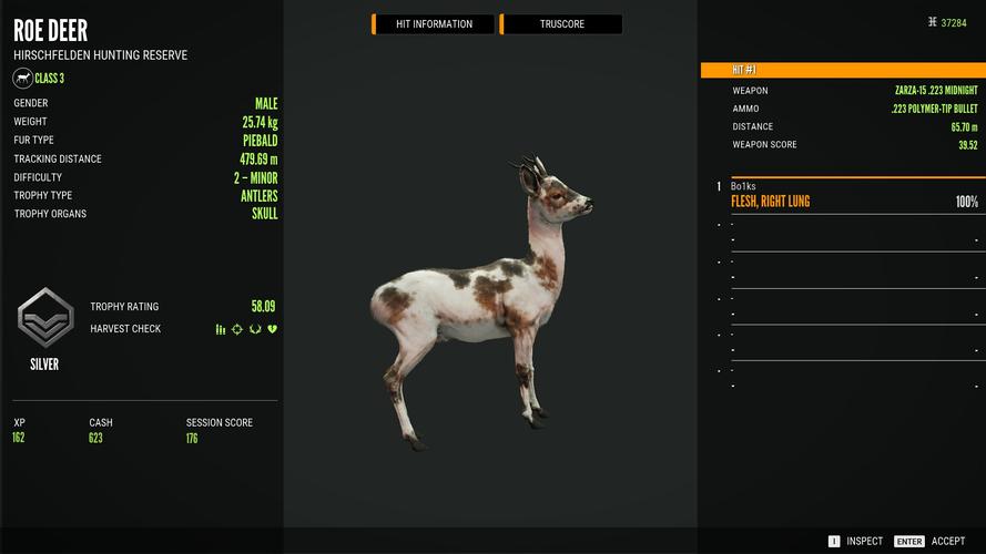 猎鹿人攻略:教你如何成为神射手