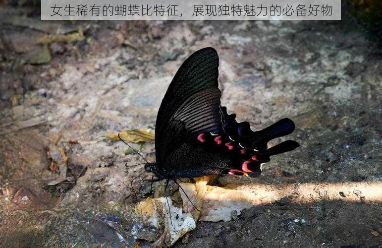 女生稀有的蝴蝶比特征,展现独特魅力的必备好物