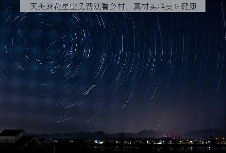 天美麻花星空免费观看乡村,真材实料美味健康