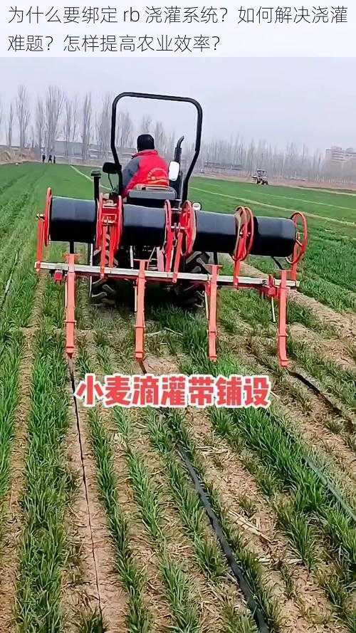 为什么要绑定 rb 浇灌系统?如何解决浇灌难题?怎样提高农业效率?