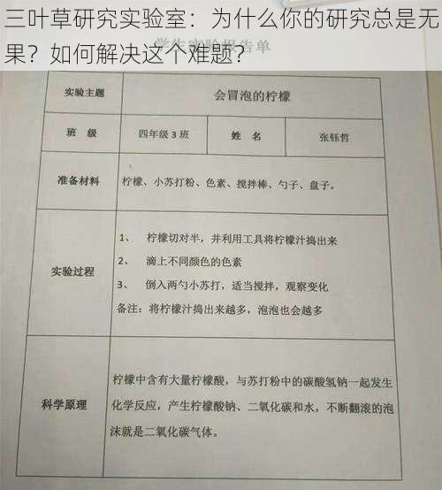 三叶草研究实验室:为什么你的研究总是无果?如何解决这个难题?