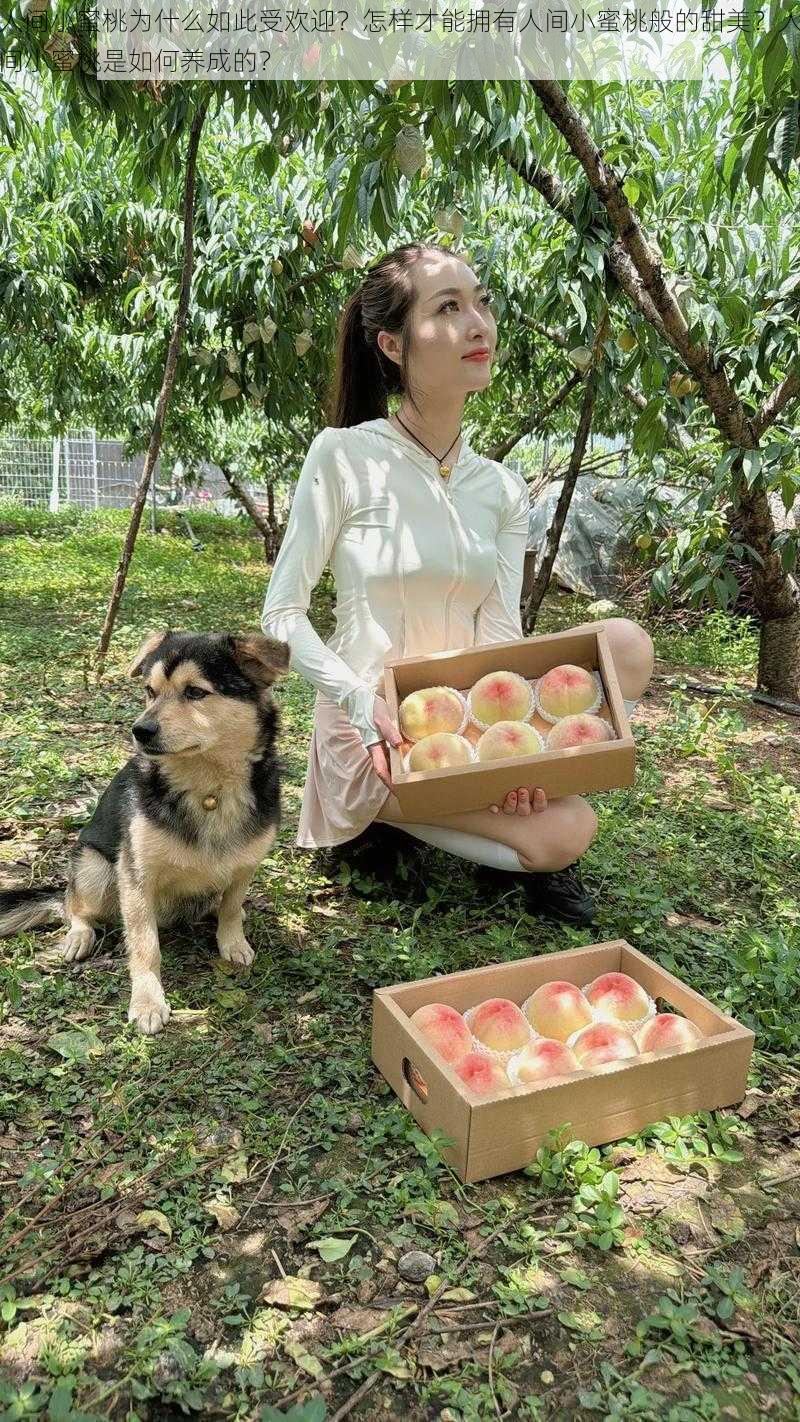 人间小蜜桃为什么如此受欢迎?怎样才能拥有人间小蜜桃般的甜美?人间小蜜桃是如何养成的?