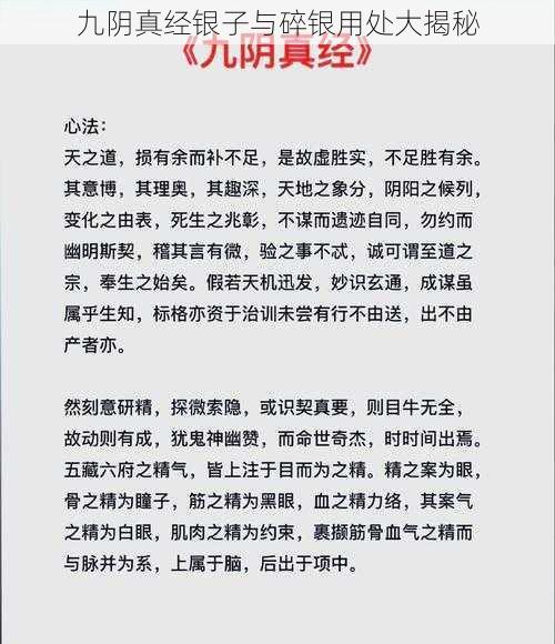 九阴真经银子与碎银用处大揭秘